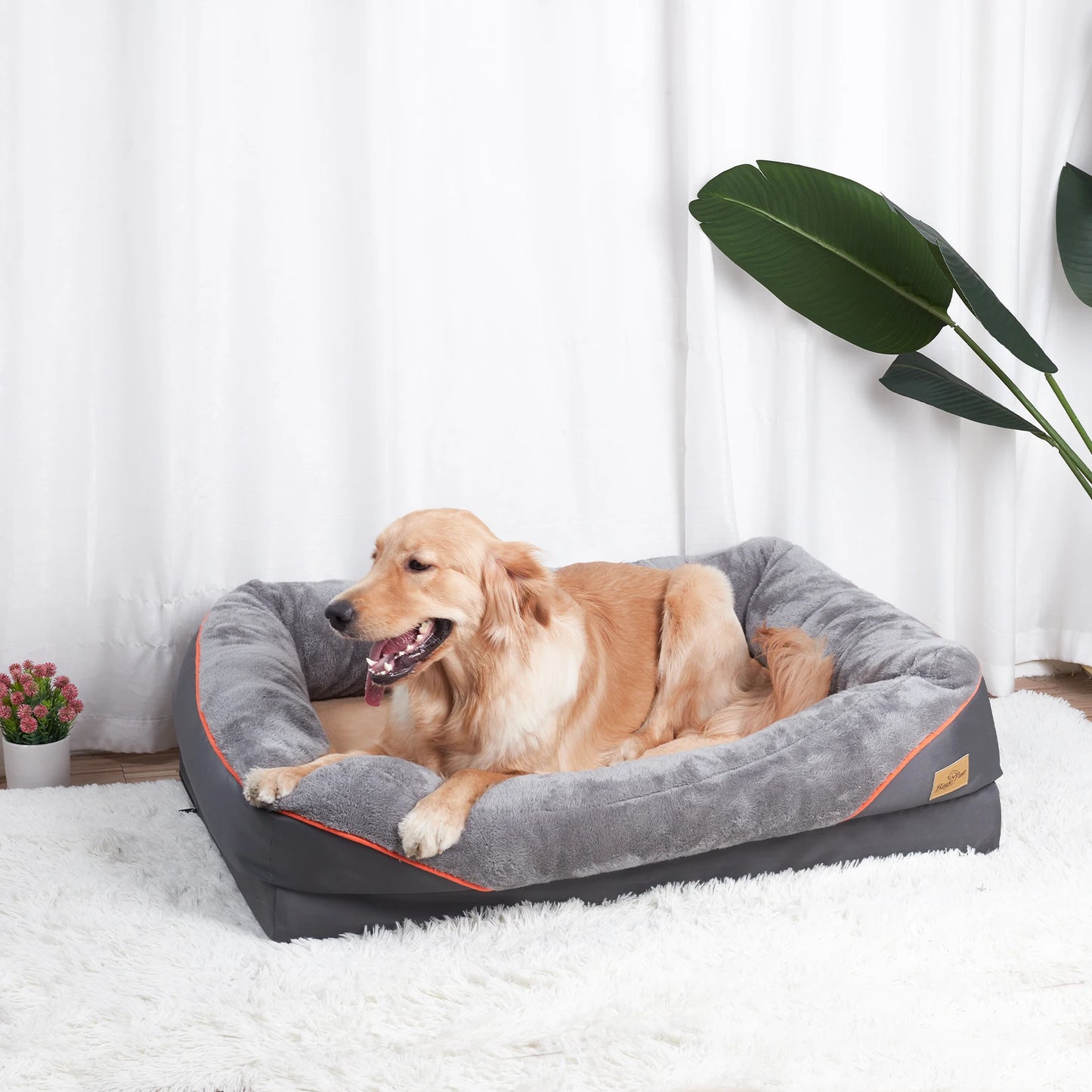 BINGOPAW Anti Allergy Dog Bed With Removable Washable Cover Waterproof