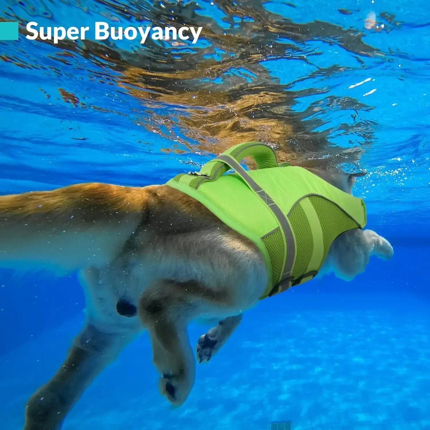 Durable Mesh Dog Life Jacket With Ergonomic Rescue Handle Tear‑Resistant Construction For Rough Water Use