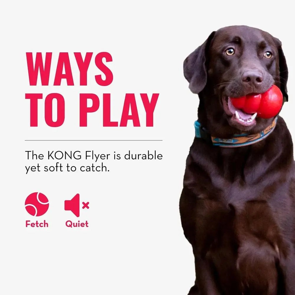 KONG Classic Durable Rubber Disc Dog Toy For Everyday Play