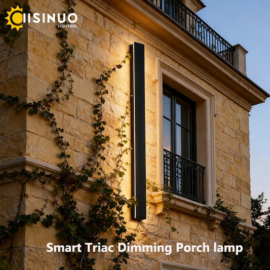 IISINUO Outdoor Porch Wall Light Dimmable Stainless Steel Sconce