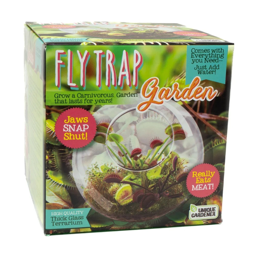 Glass Terrarium Fly Trap Garden Kit For Carnivorous Plants