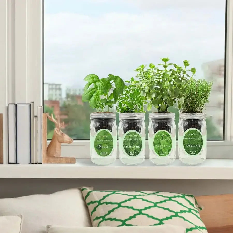 XMSJ Mason Jar Indoor Garden Seed Starter Kit Italian Basil