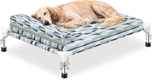 Orthopedic Elevated Dog Bed For Medium Dogs With Bolster Cushion