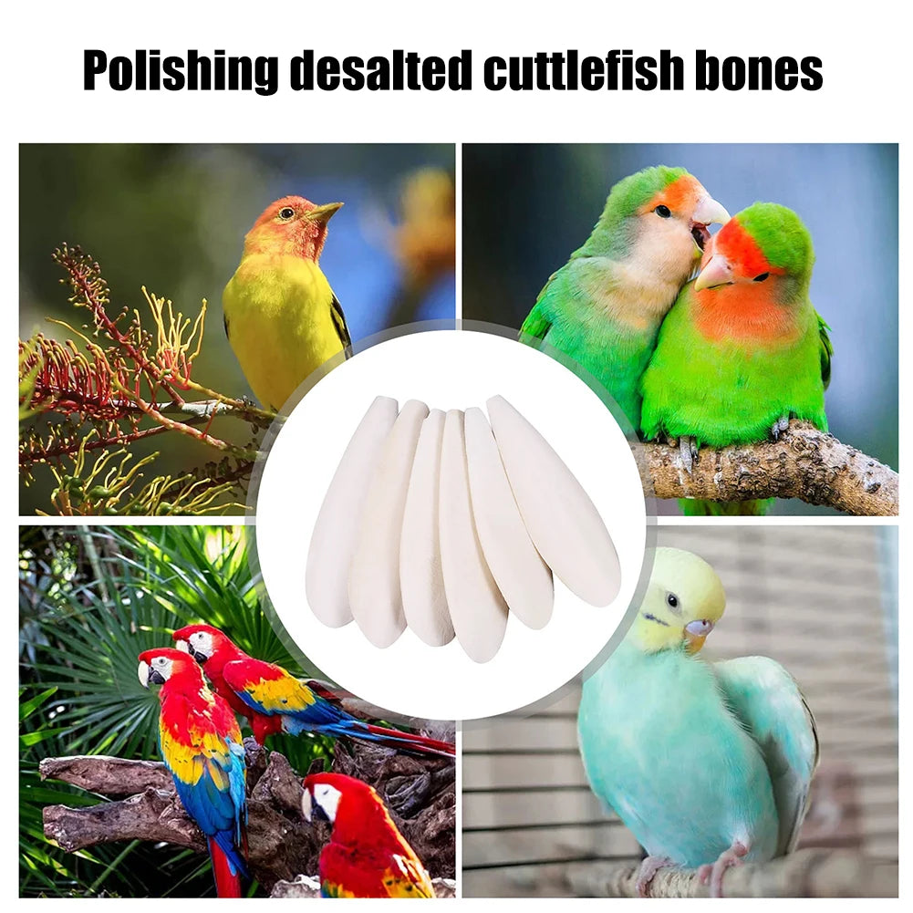 Funny Bird Cuttlebone Cuddle Bone Creative Natural Cuddle Bone Parrot Chewing Toys for Parrot Nutritional Supplement