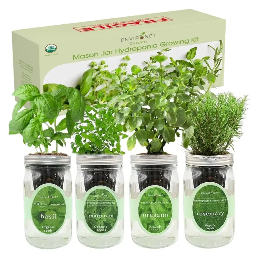 XMSJ Mason Jar Indoor Garden Seed Starter Kit Italian Basil