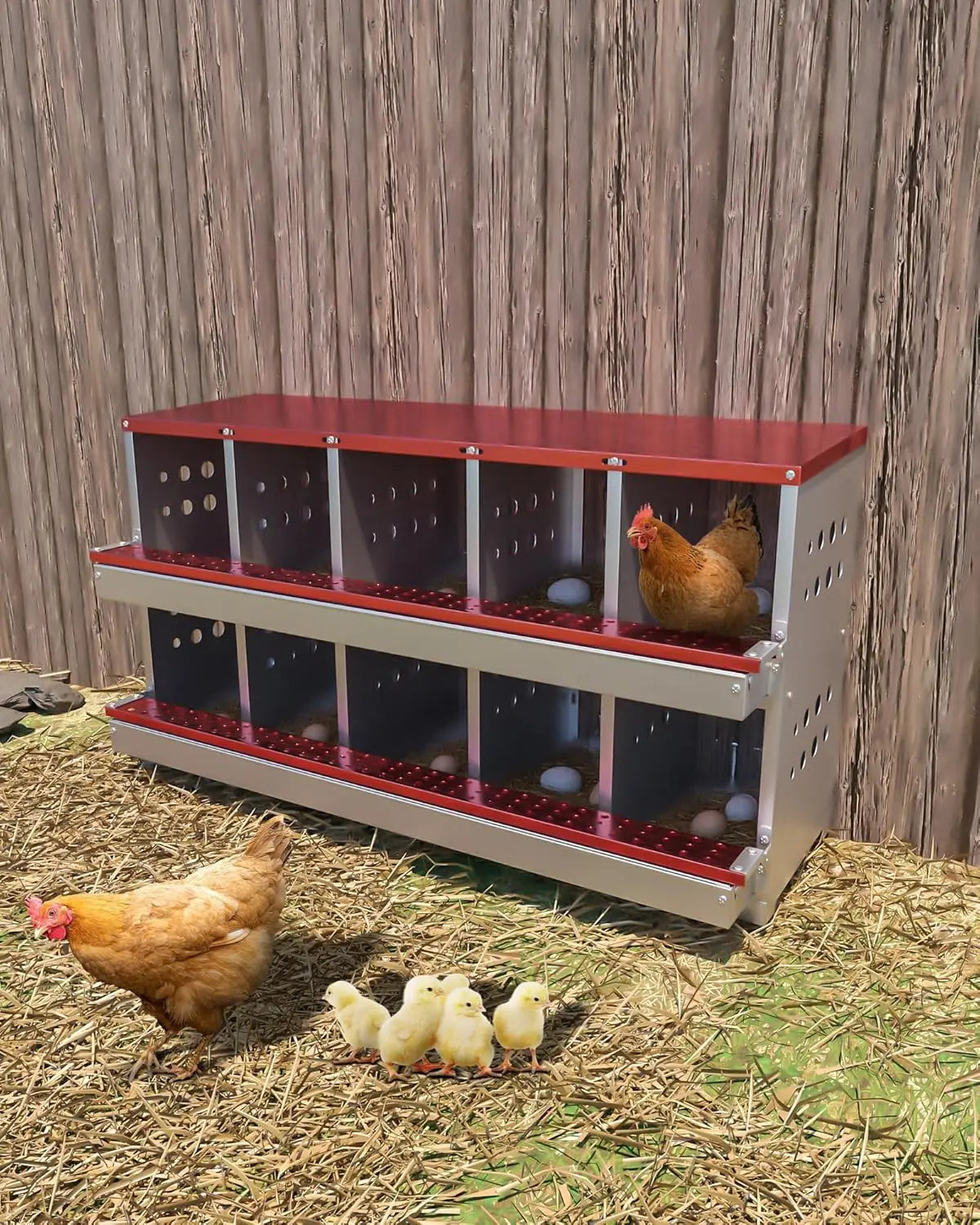 TWISTER.CK Metal Chicken Coop Nesting Box With Rollout Egg Collection