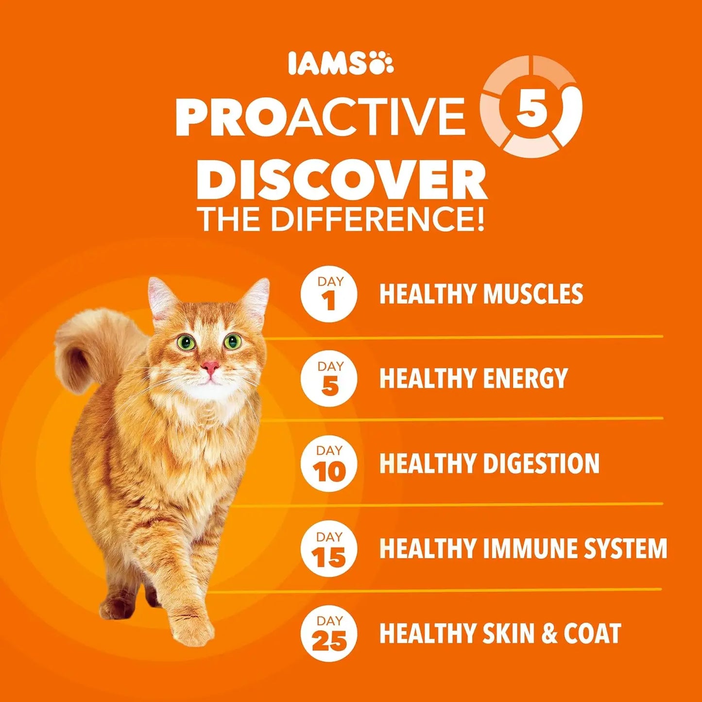 Proactive Health Dry Cat Food for Adult Cats Chicken Recipe