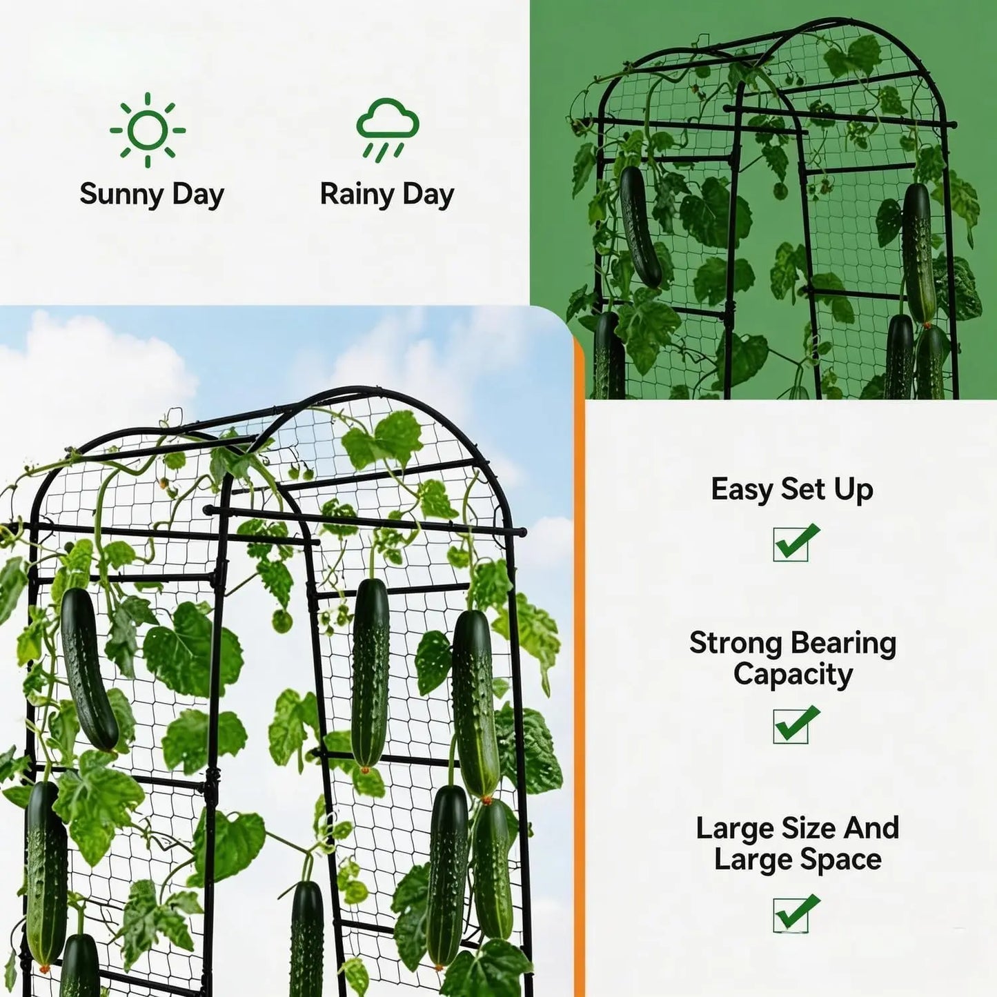 Hmiss Heavy Duty Metal Garden Arch Trellis for Climbing