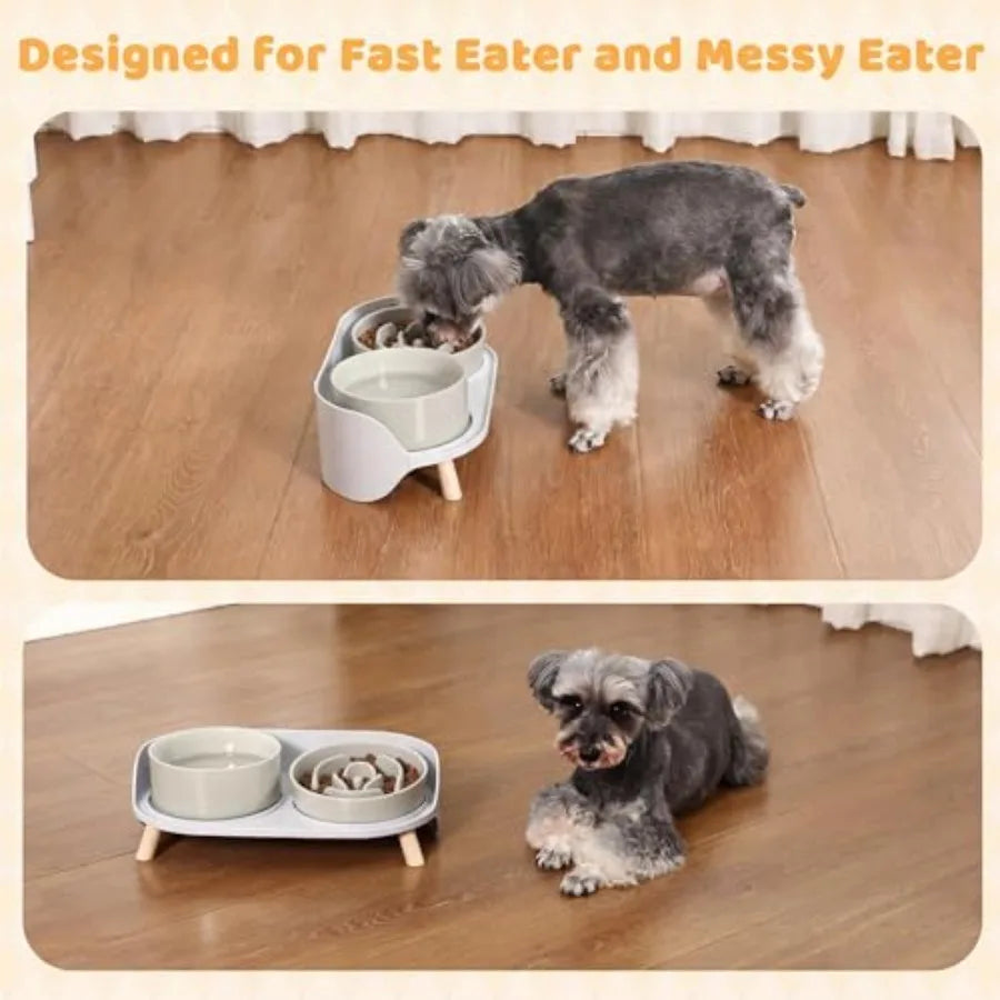 Elevated Slow Feeder Dog Bowls Plastic Food And Water With Stand