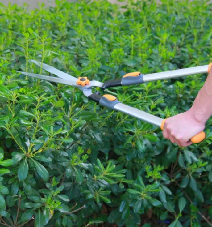 44Inch Extendable Shrub Shears, 31 Inch Shrub Shears, Heavy-Duty Garden Pruning Shears - High Carbon Steel, Ergonomic Handles for Lawn, Hedge & Branch Trimming, Pruning Shears for Gardening